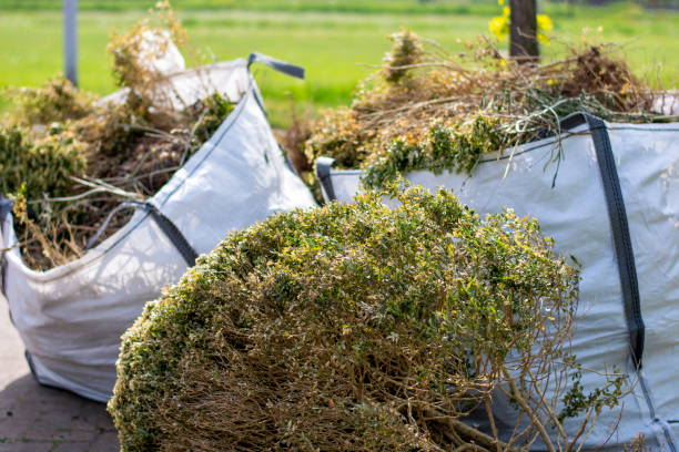 Best Estate Cleanout Services  in Moose Lake, MN